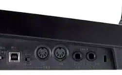 Roland A-300 PRO-R 32-Keys MIDI Keyboard Controller, Black - Image 4