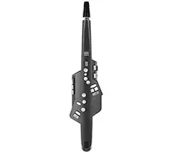 Roland Aerophone AE-10G Digital Wind Instrument