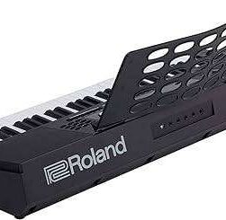 Roland E-X20 Arranger Keyboard With Carry Bag - 88, Black