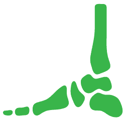 Advita Ortho Foot and Ankle icon