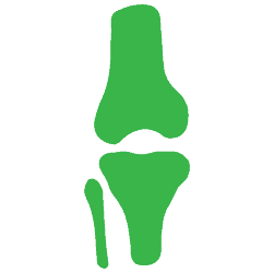 Advita Ortho Knee icon