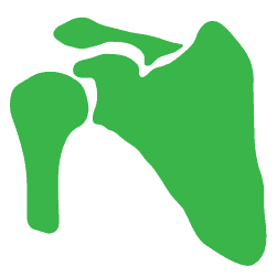 Advita Ortho Shoulder icon