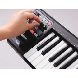 Roland A-49 Midi Keyboard Controller - Black