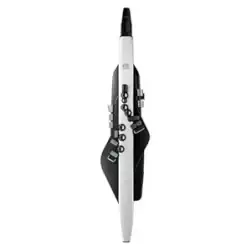 Roland Digital Wind Instrument, Matte Black and White (AE-20)