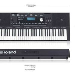 Roland E-X30 Arranger 88-Key Keyboard (61 Keys), Black