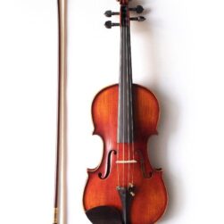 Estevam ESV-Dominant violin