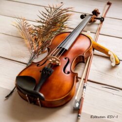 Estevam ESV -I violin
