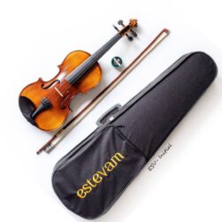Estevam ESV-Initial violin