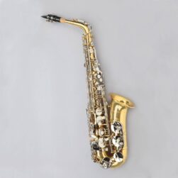 Estevam ESWS Alto Saxophone – Gold/Silver Eb