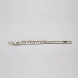 Estevam ESWFN Flute – C Key