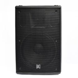 Beta 3 N10 10" Two Way Full Range Plastic Speaker