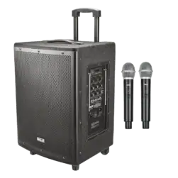 Ahuja Portable PA Active Speaker 60 Watts With Two Wireless Mics Model ABX-800