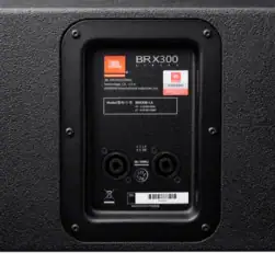 Jbl Brx300series Productphoto Brx308la Back Closeup Original