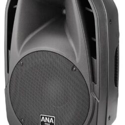 Ahuja XPA 3010DP Active portable Speaker
