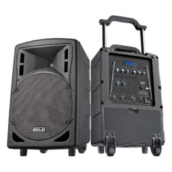 Ahuja BTA 660 Portable Speaker
