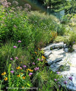 Read more about the article My Intermingled Garden