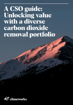 A CSO guide: Unlocking value with a diverse carbon dioxide removal portfolio
