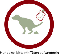 DOG Solution Trainingsregeln