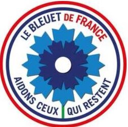 Bleuet de France, la campagne de dons est lancée