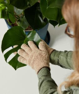 Microfiber Dusting Glove- The Benefits Artificial Plants Have
