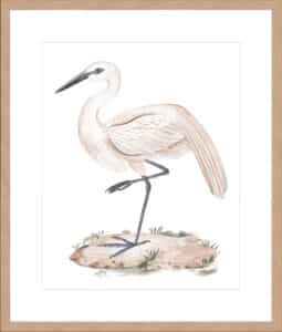 A White Heron III - 10cm Mount Board