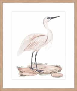 A White Heron II - 10cm Mount Board