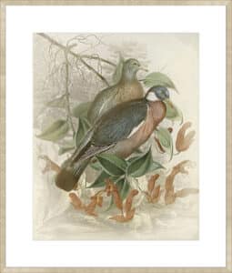 Dove Tailing - 10cm Mount Board