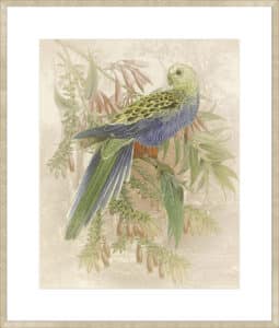 Parrot Price - 10cm Mount Board