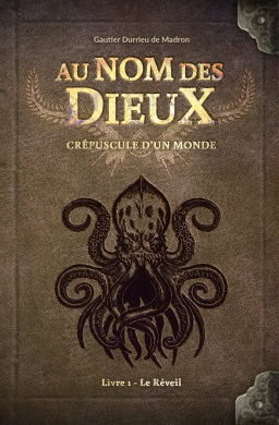 Au nom des Dieux Cr&eacute;puscule d&rsquo;un monde, Livre 1 le R&eacute;veil