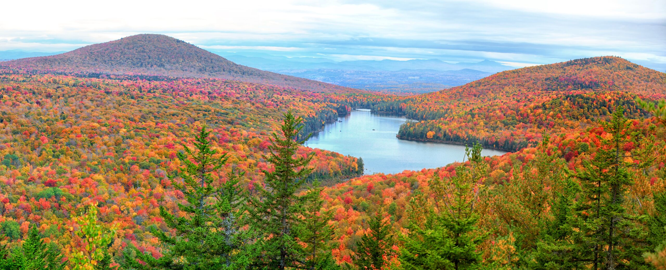 Panoramic view of Groton national forest in Vermont