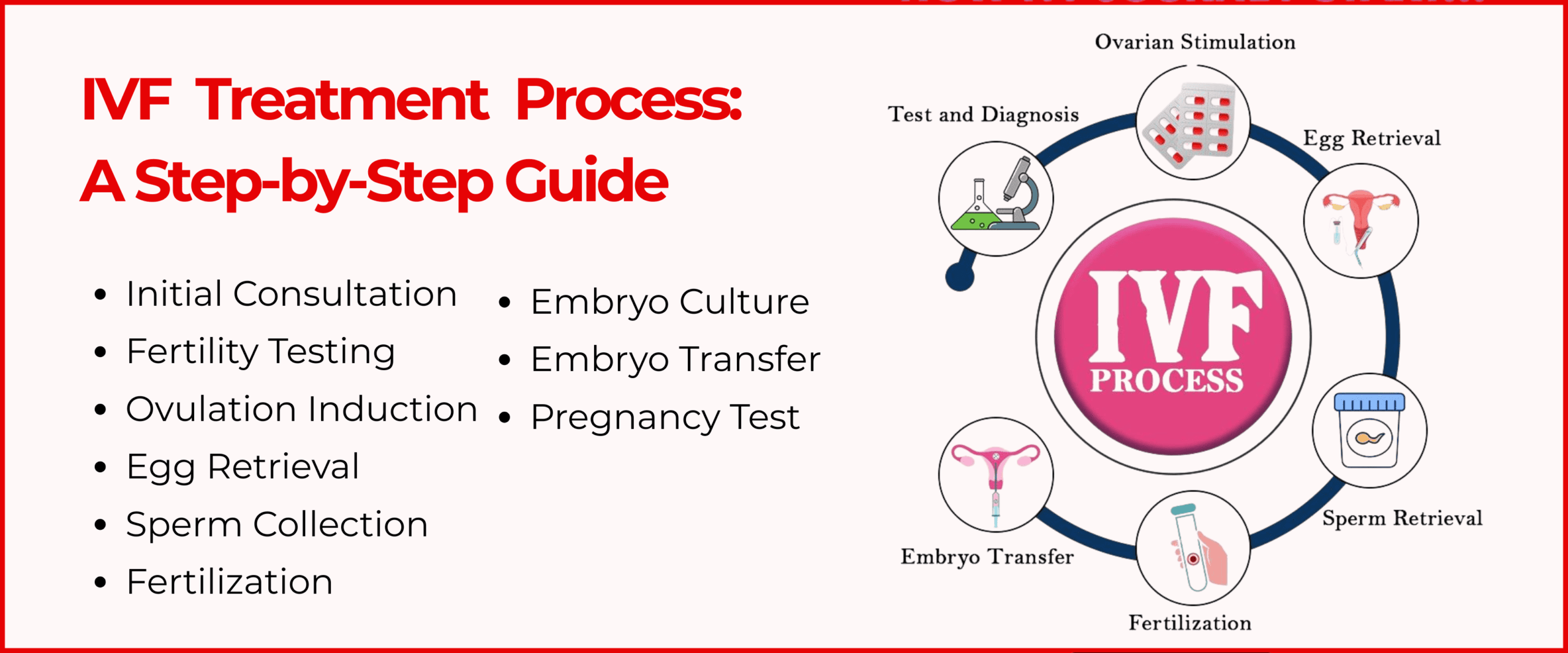 IVF Treatment Process : Step by Step