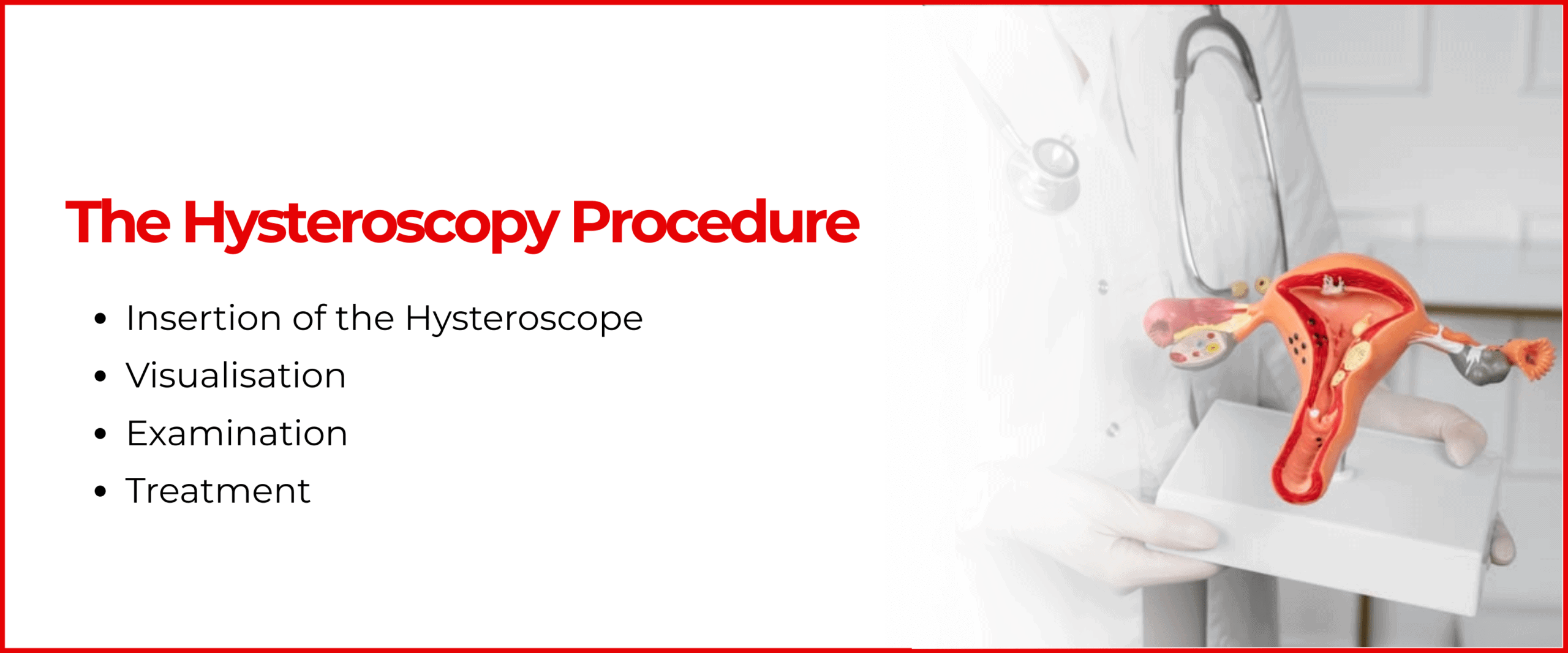 The Hysteroscopy Procedure