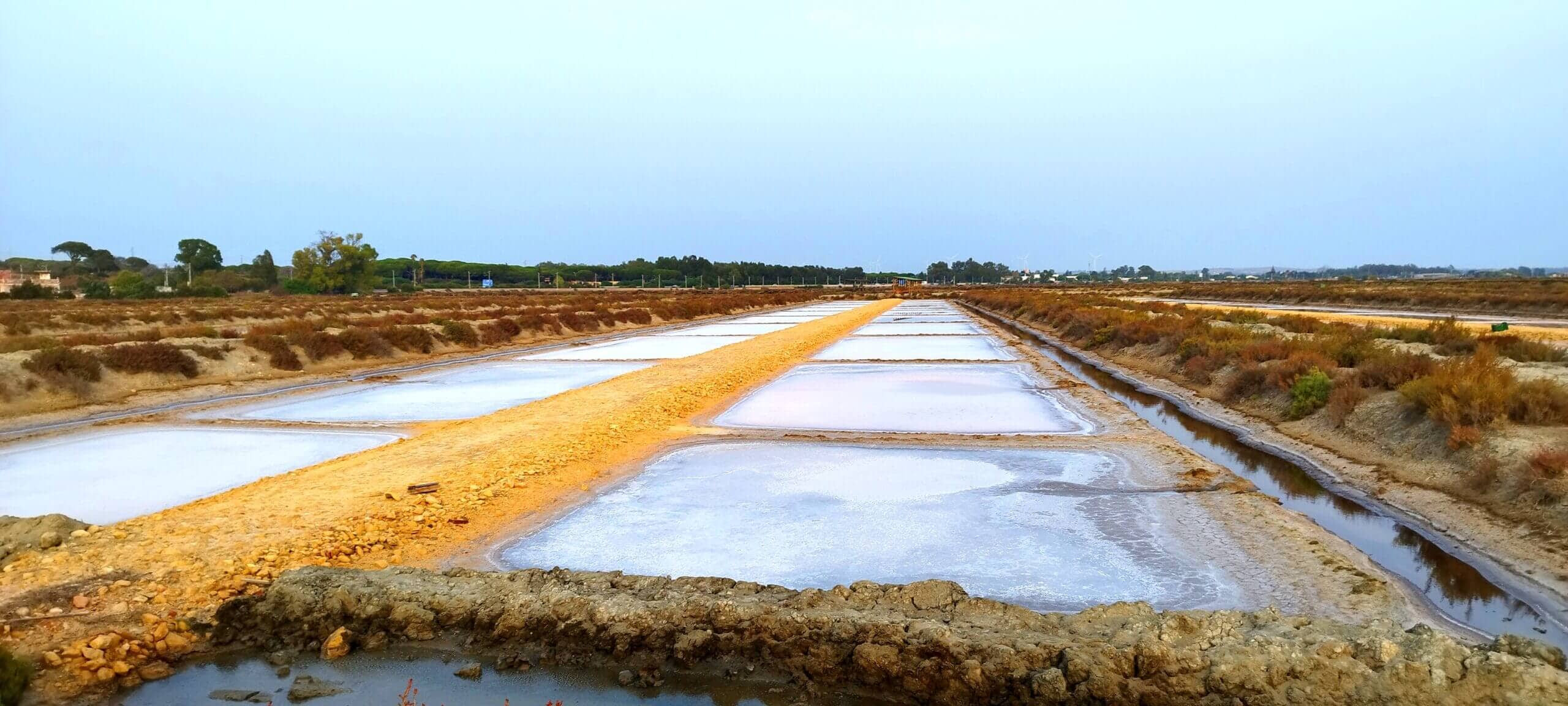 Salinas de Cádiz