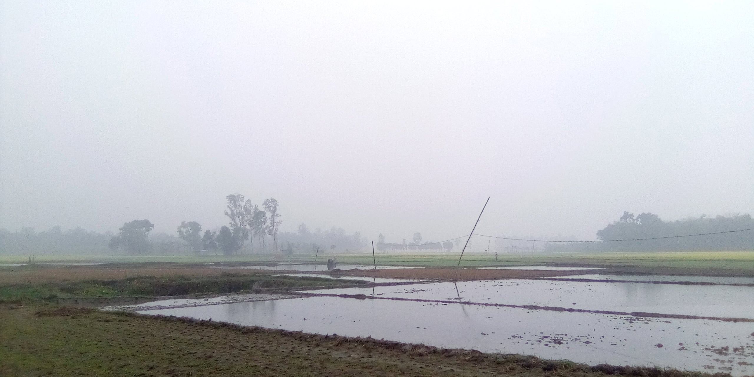 বৃষ্টির পর শ্রীবরদীতে চলছে শৈত্যপ্রবাহ