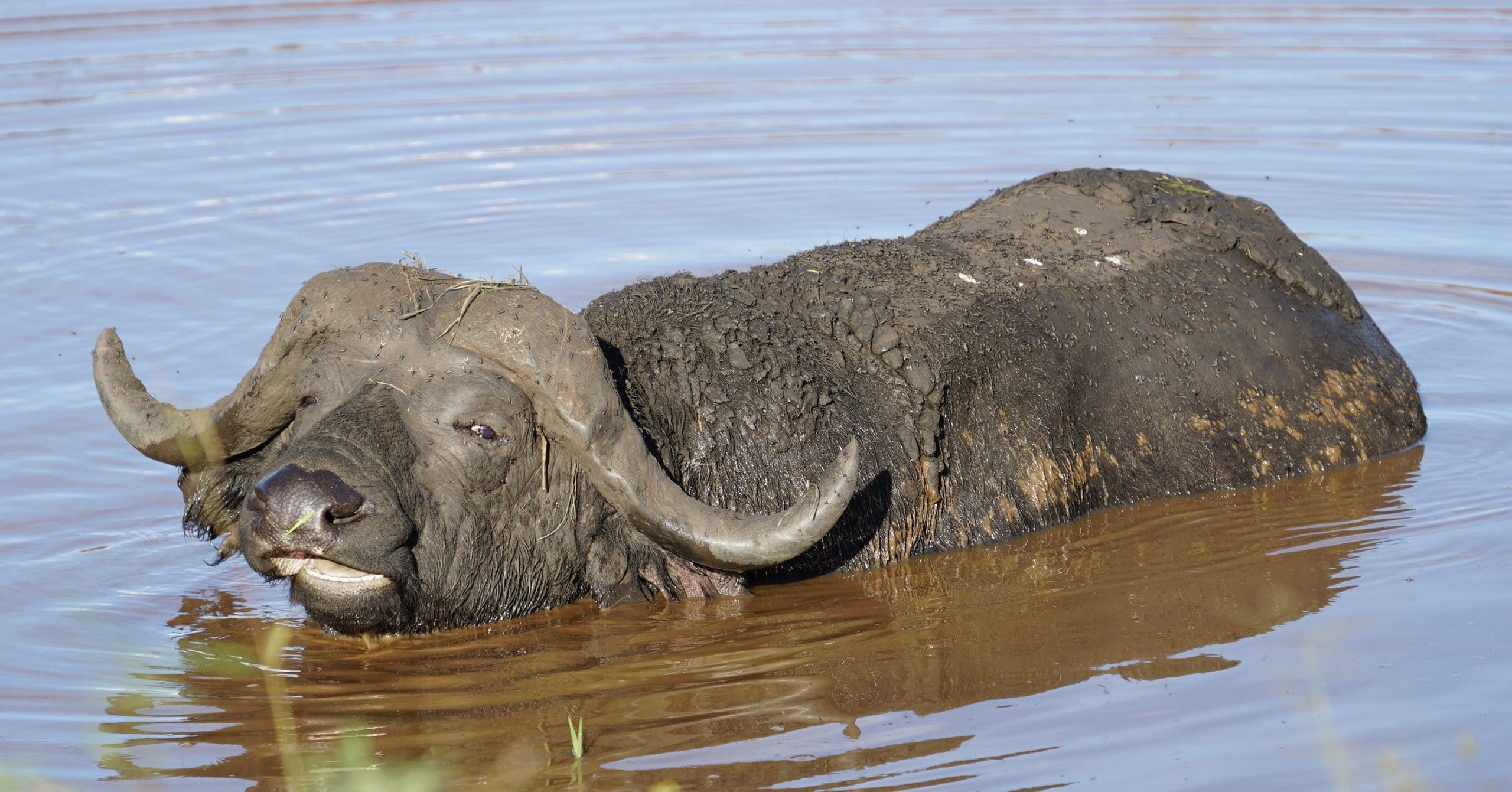 how to combine safari and beach holidays