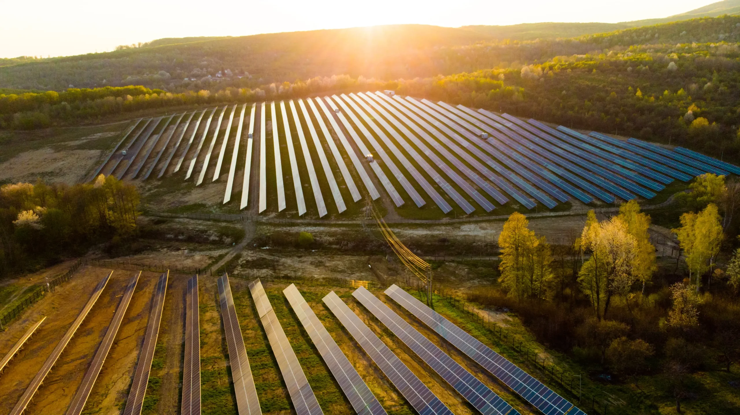 solar-panels-Captured-Carbon