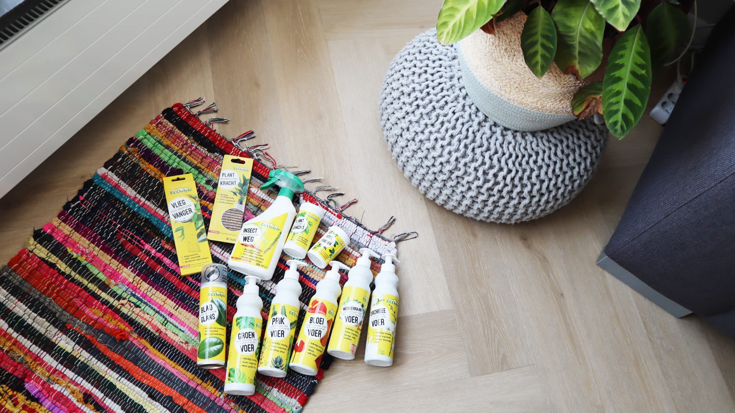 ECOstyle kamerplanten