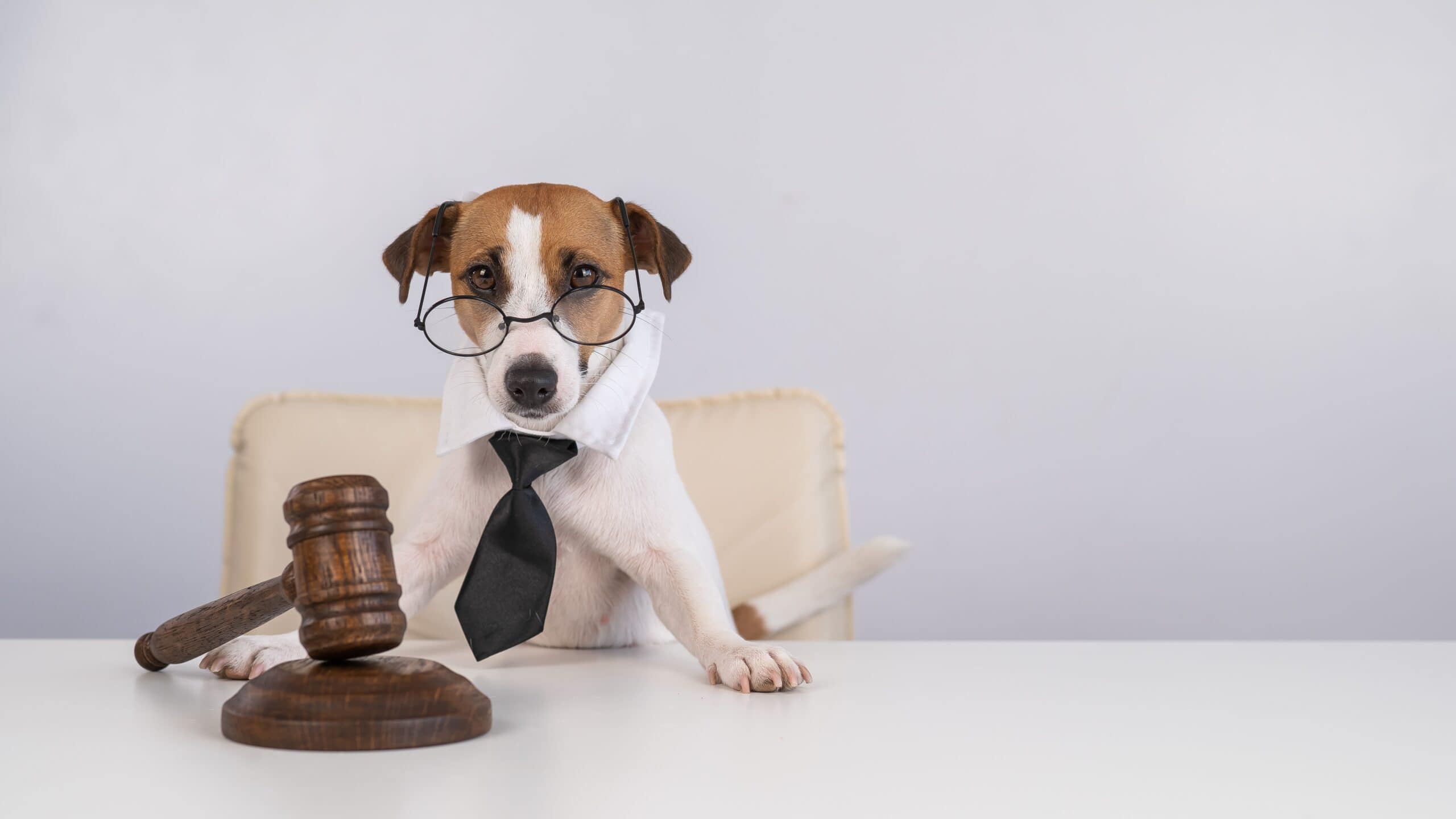 Minimize Legal Liability