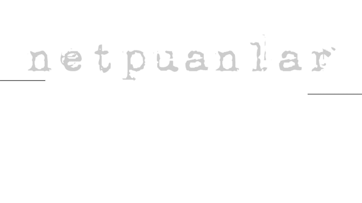 NetPuanlar