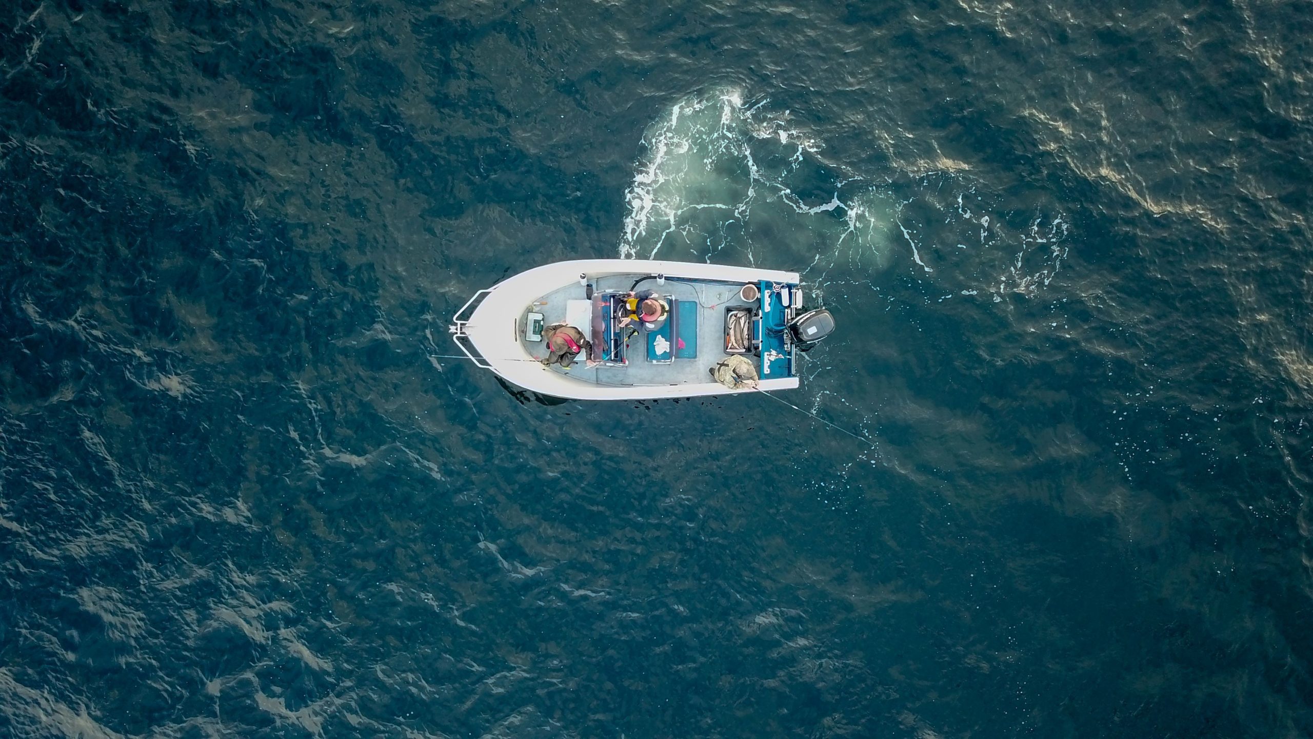 Лодка в море норвегия рыбалка