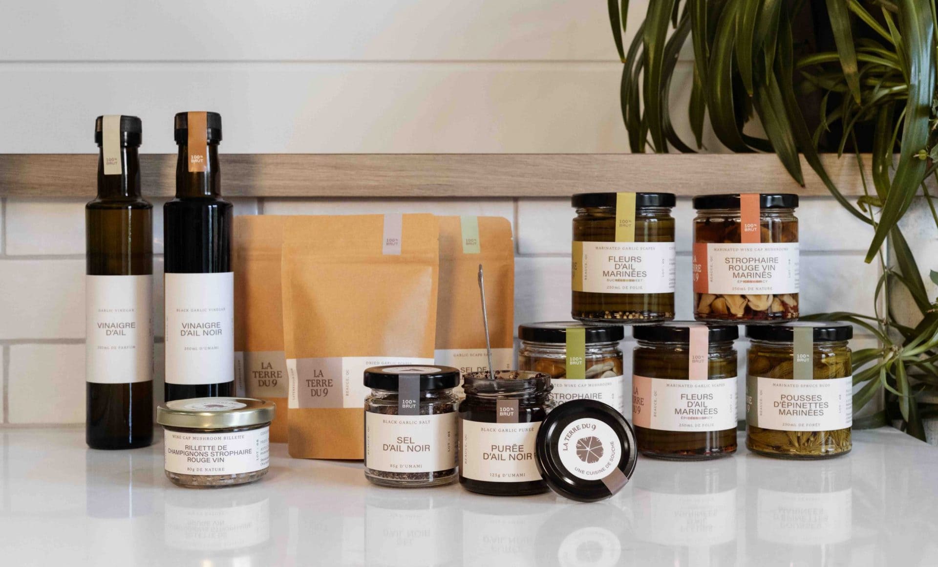 Où nous trouver? En plus de notre boutique en ligne, nos produits sont disponibles dans plusieurs régions du Québec. Voir ci-dessous la liste complète. La terre du 9