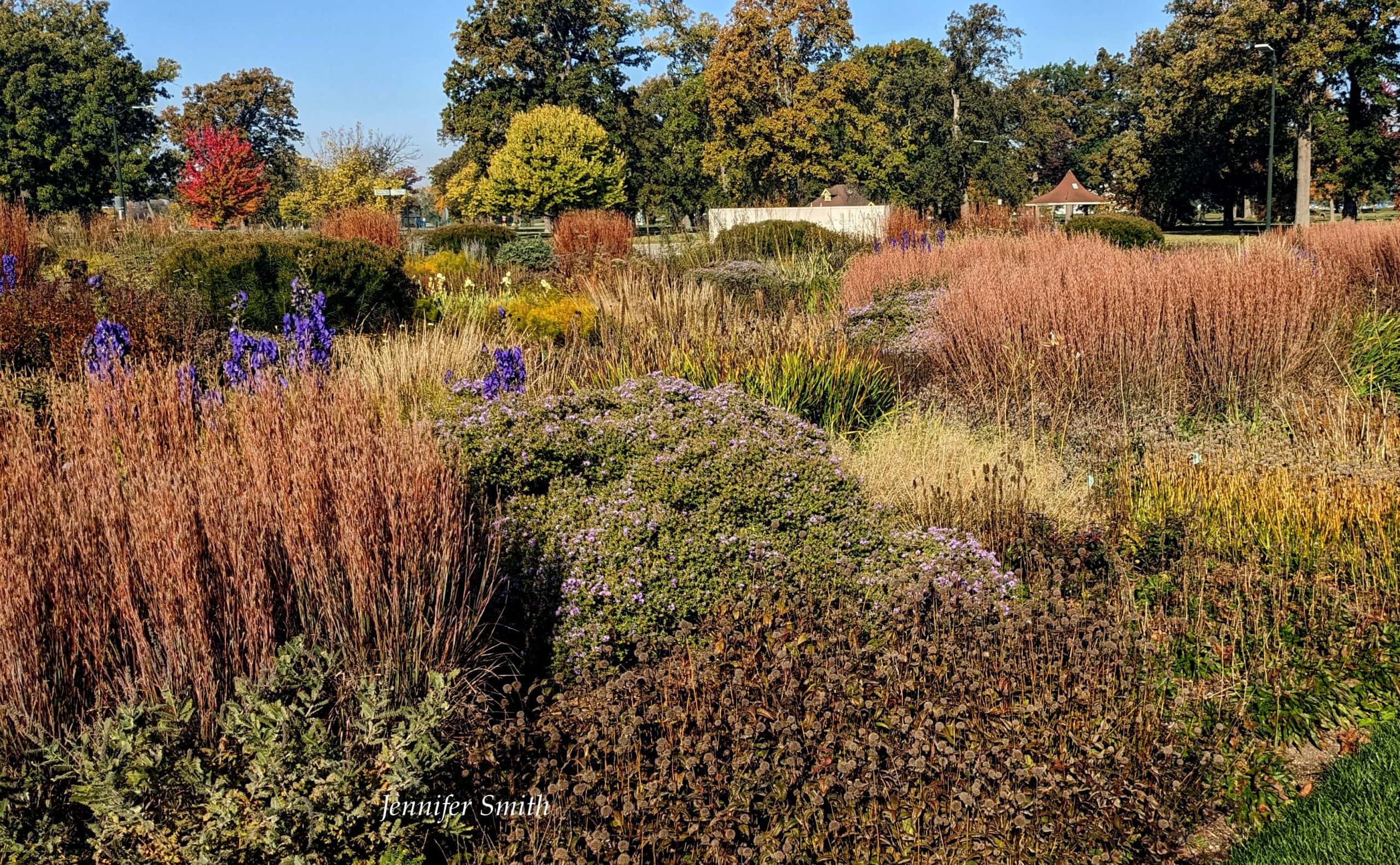 Read more about the article Lessons from Piet Oudolf Detroit Gardens