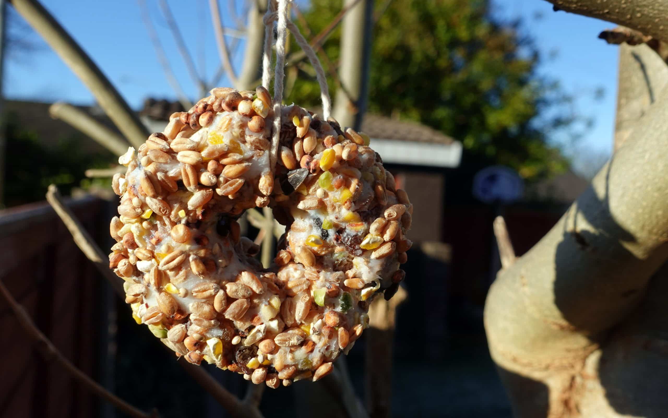 How to Make Bird Seed Wreath