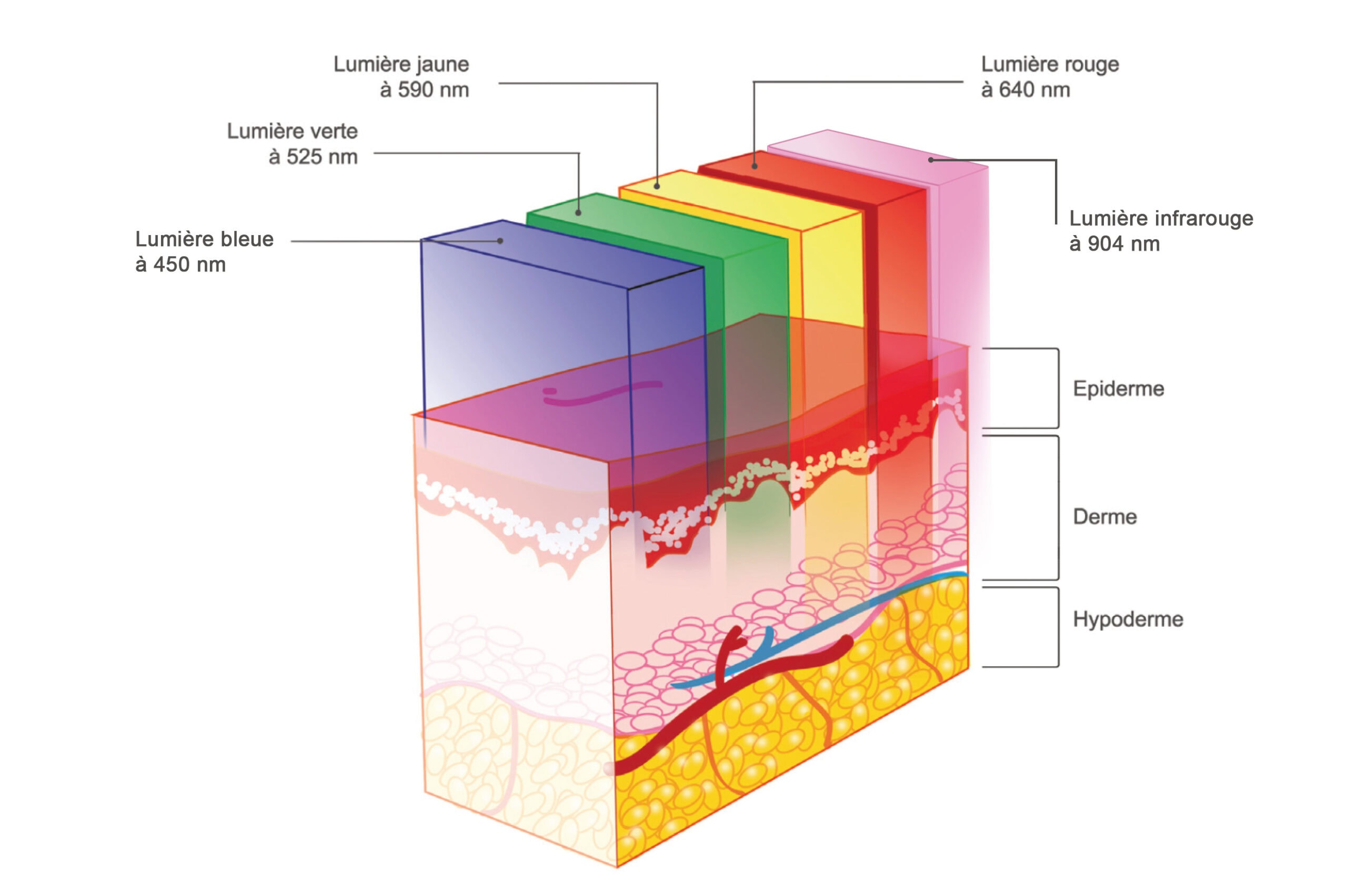 Les différents effets des couleurs LEDs sur la peau