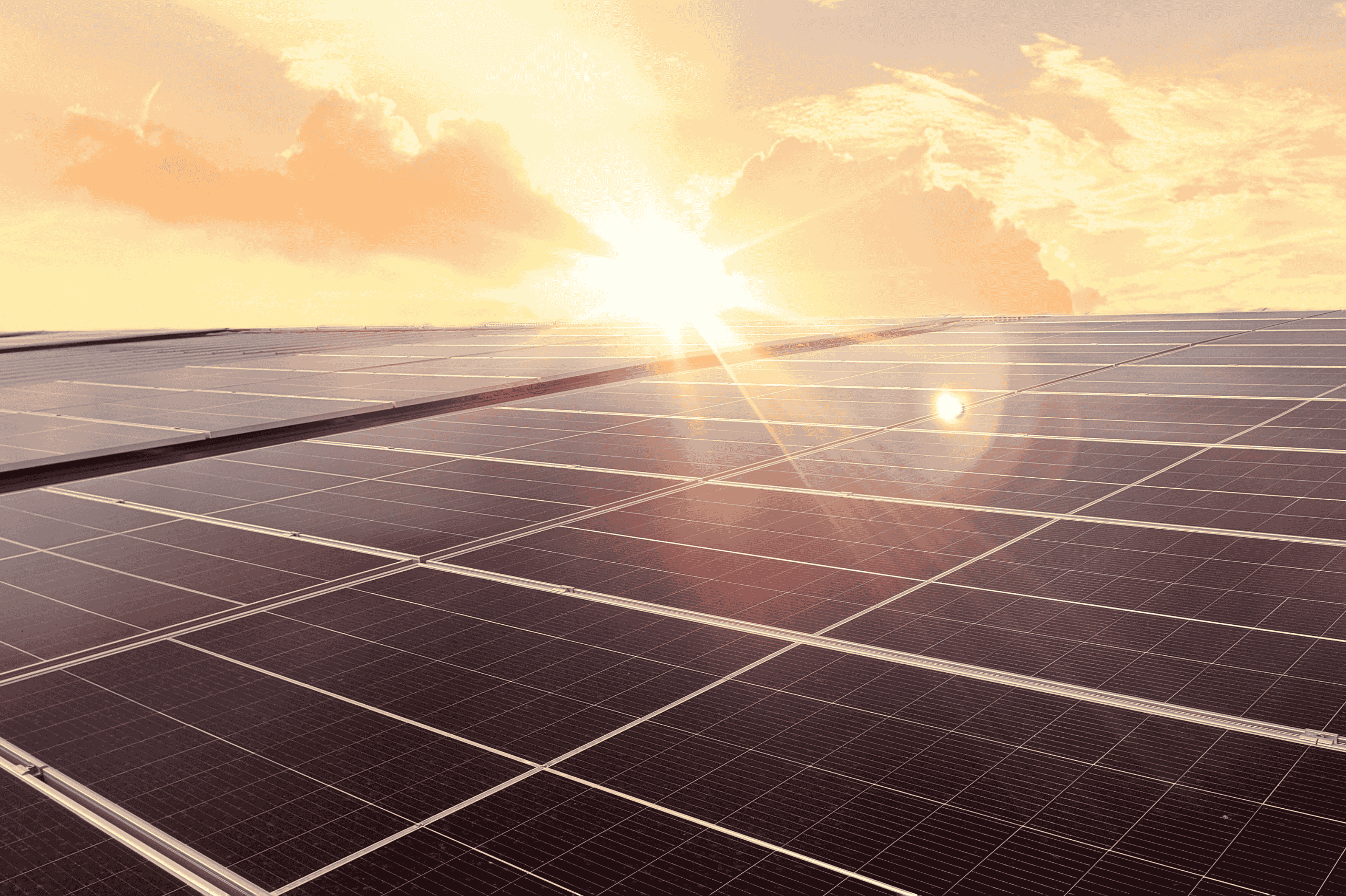 Calidad y eficiencia en fotovoltaica para industria - ION Proyectos