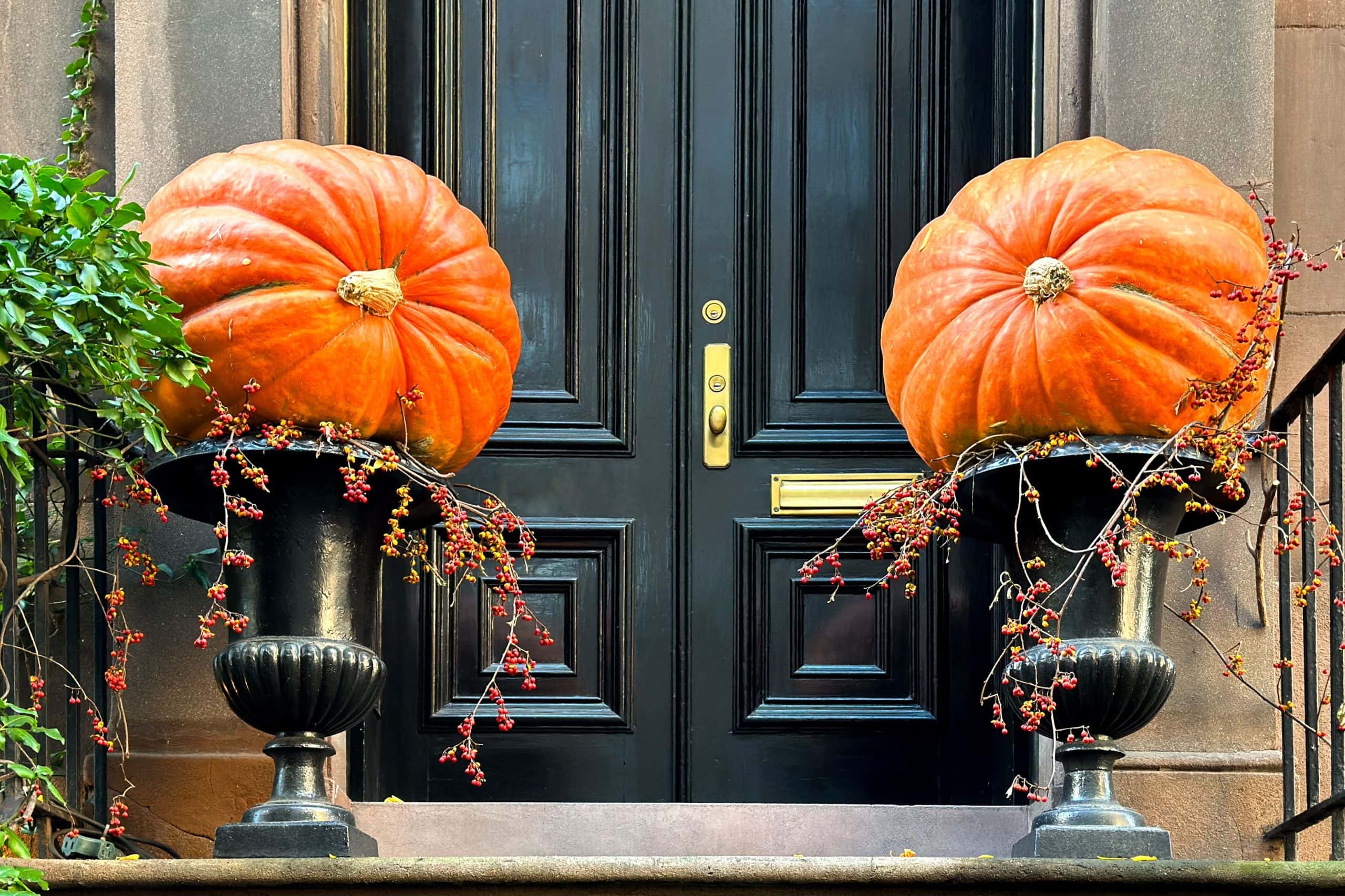 22-Enchanting-Fall-Porch-Decor-Ideas-To-Try-This-Year_4-scaled 22-Enchanting-Fall-Porch-Decor-Ideas-To-Try-This-Year_4-scaled 22 Enchanting Fall Porch Decor Ideas To Try This Year_4 fall porch decor ideas 22 Enchanting Fall Porch Decor Ideas To Try This Year 22 Enchanting Fall Porch Decor Ideas To Try This Year 4 scaled