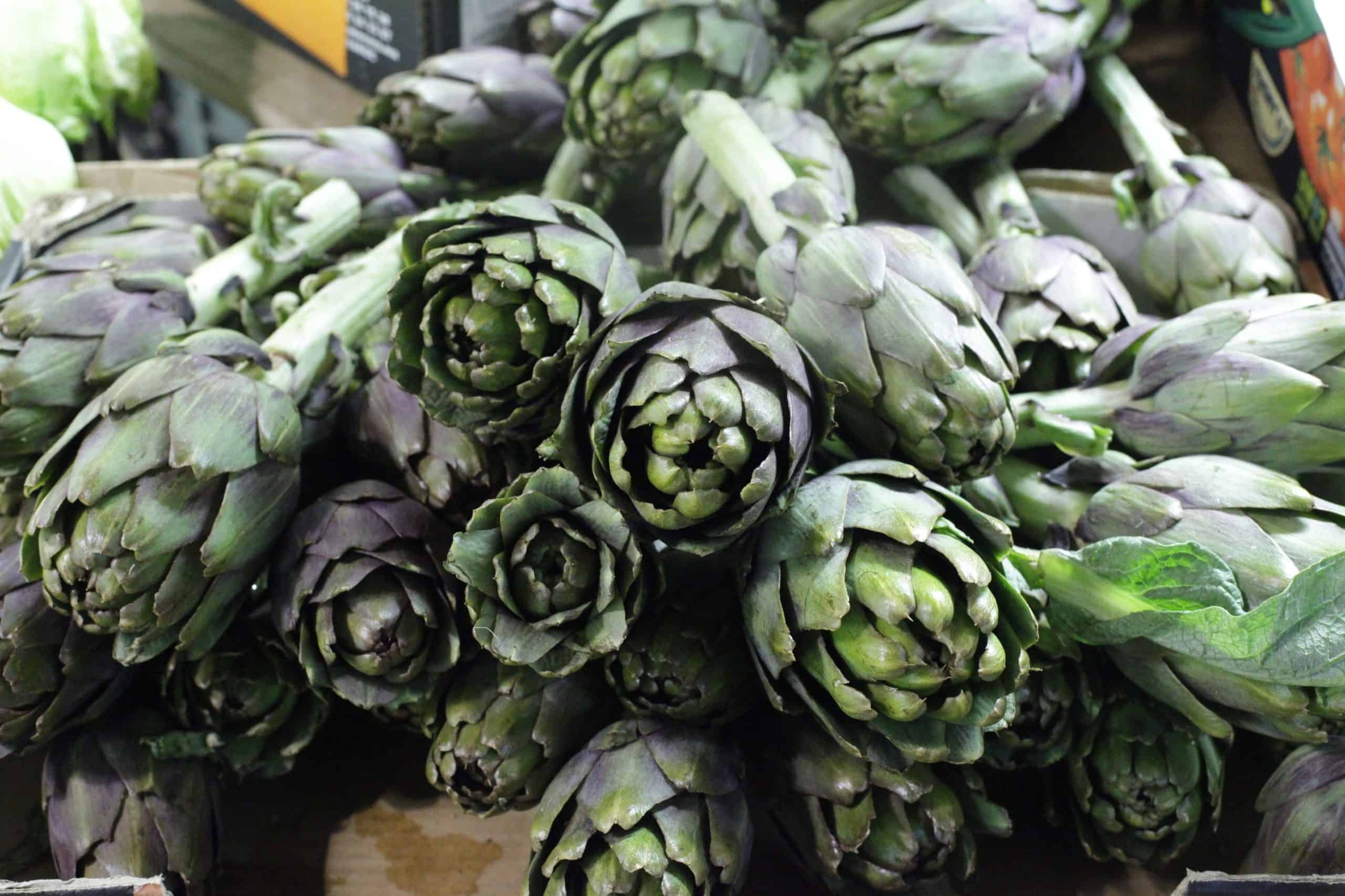 roman artichokes