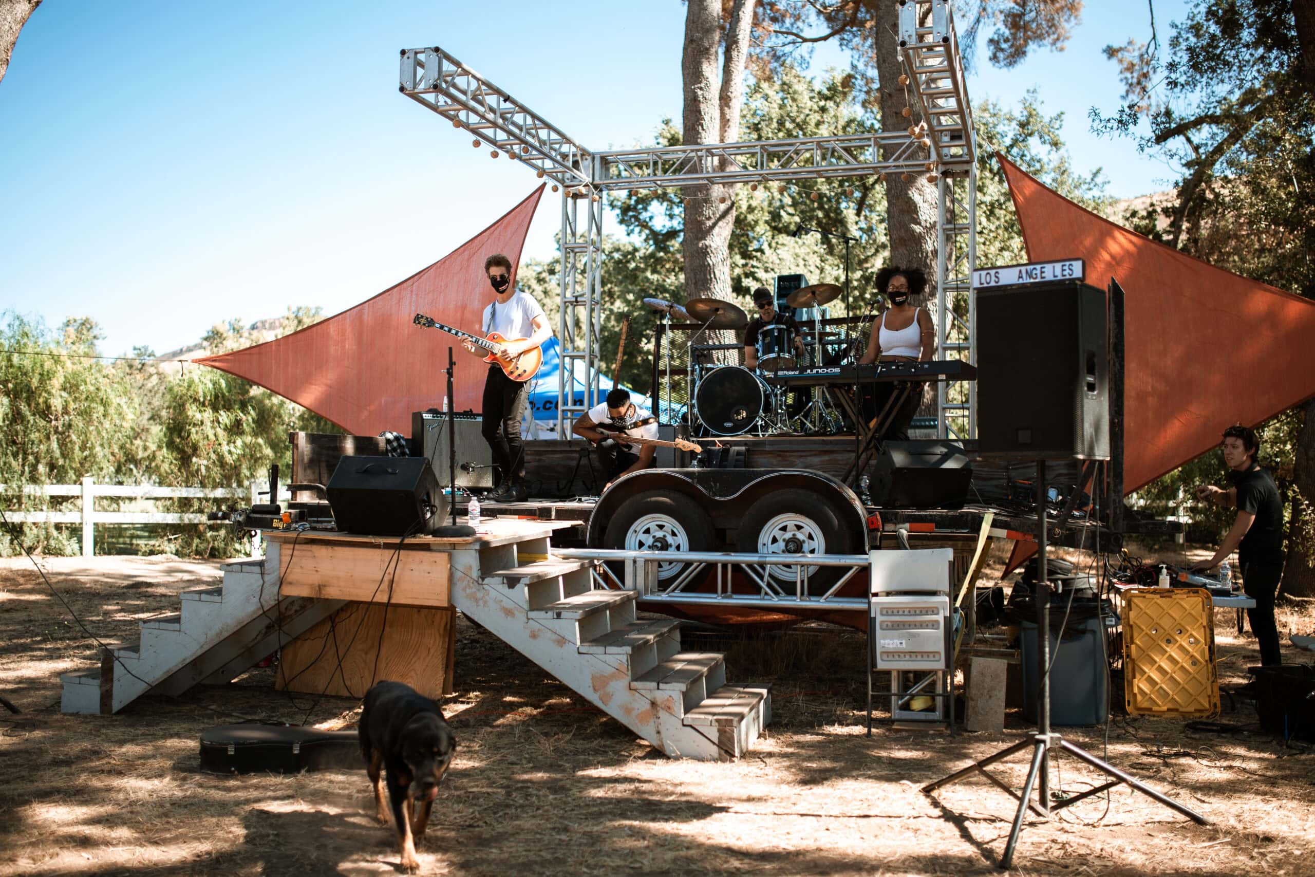 dog in front of stage