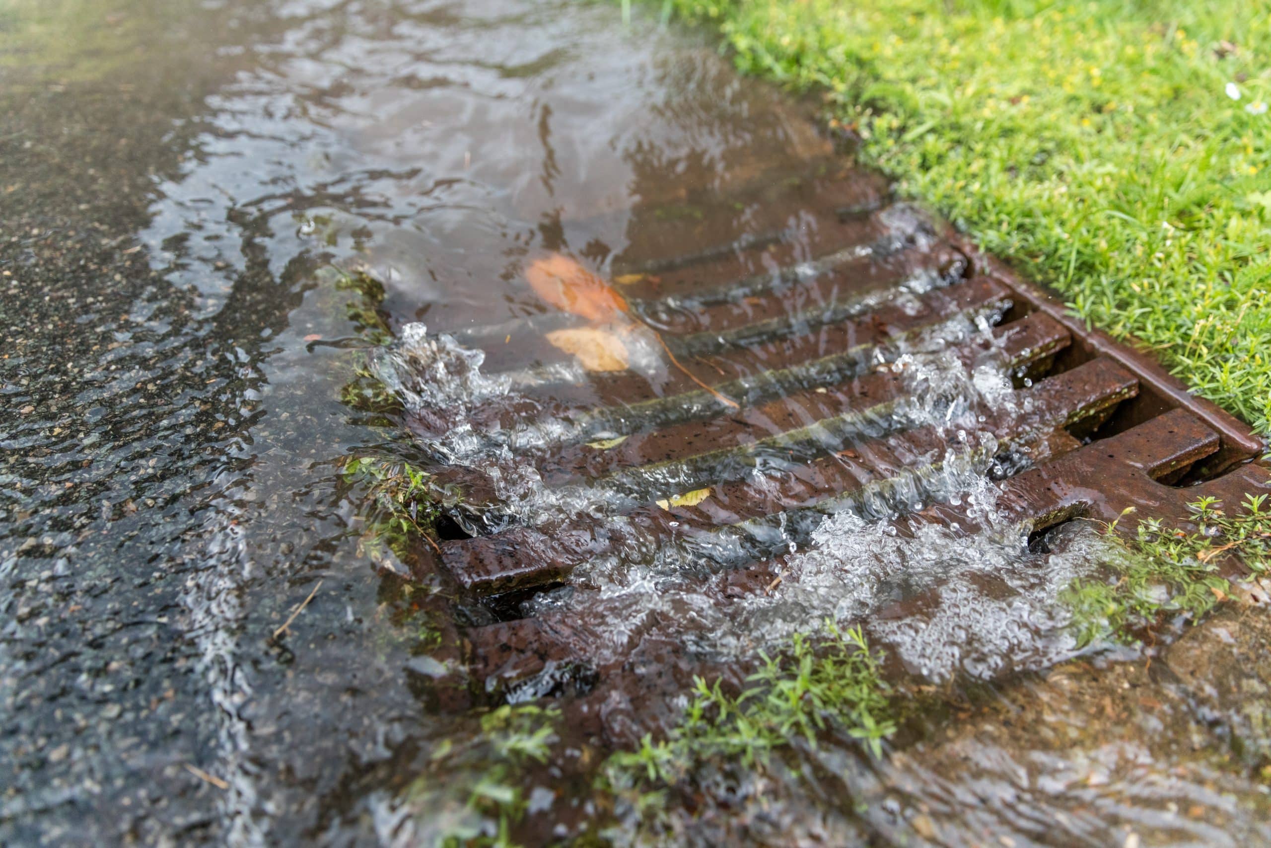 „Wasser strömt bei starkem Regen in einen Straßen-Gully neben einer Wiese – effektive Oberflächenentwässerung“