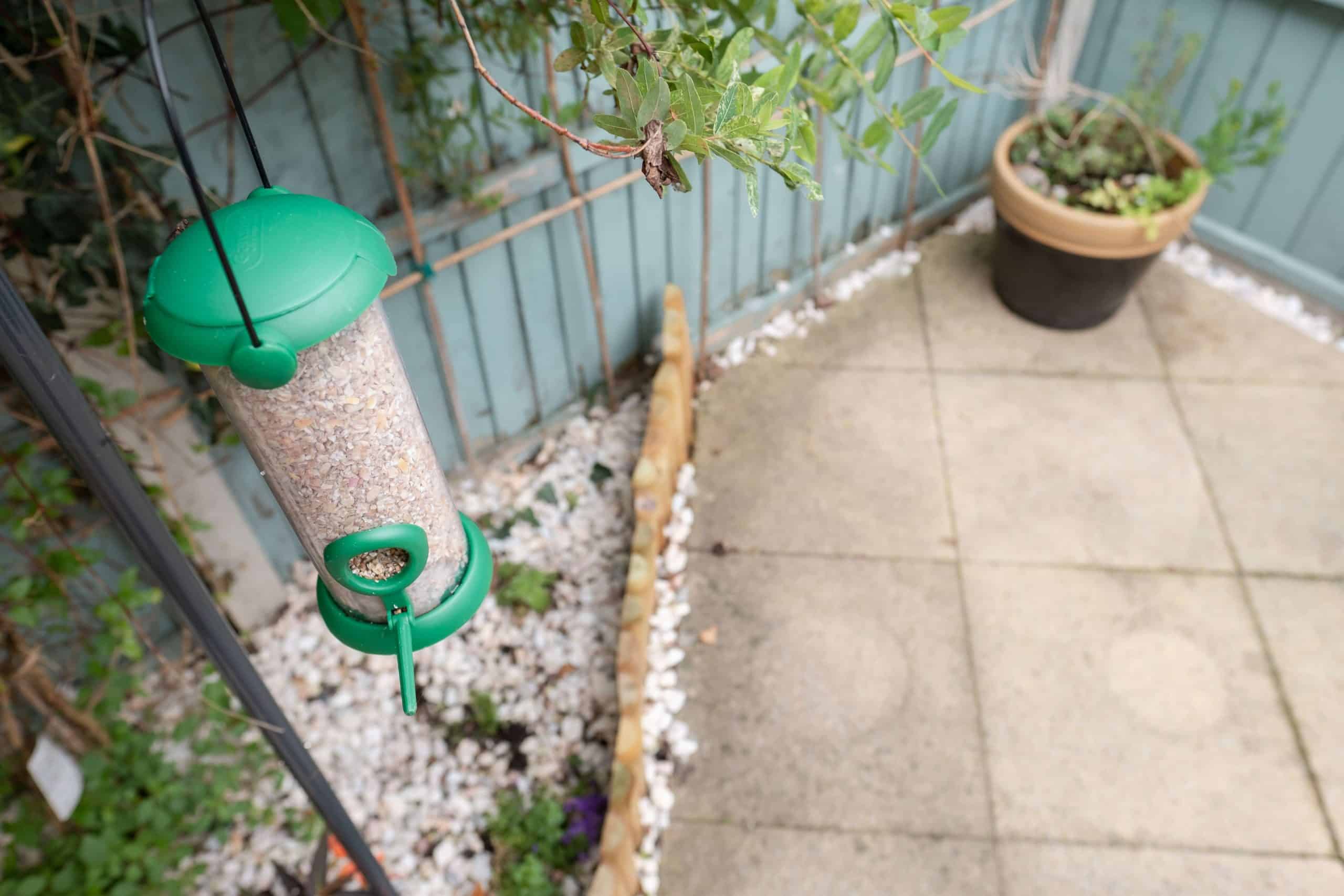 How to Make Your Balcony Bird Friendly